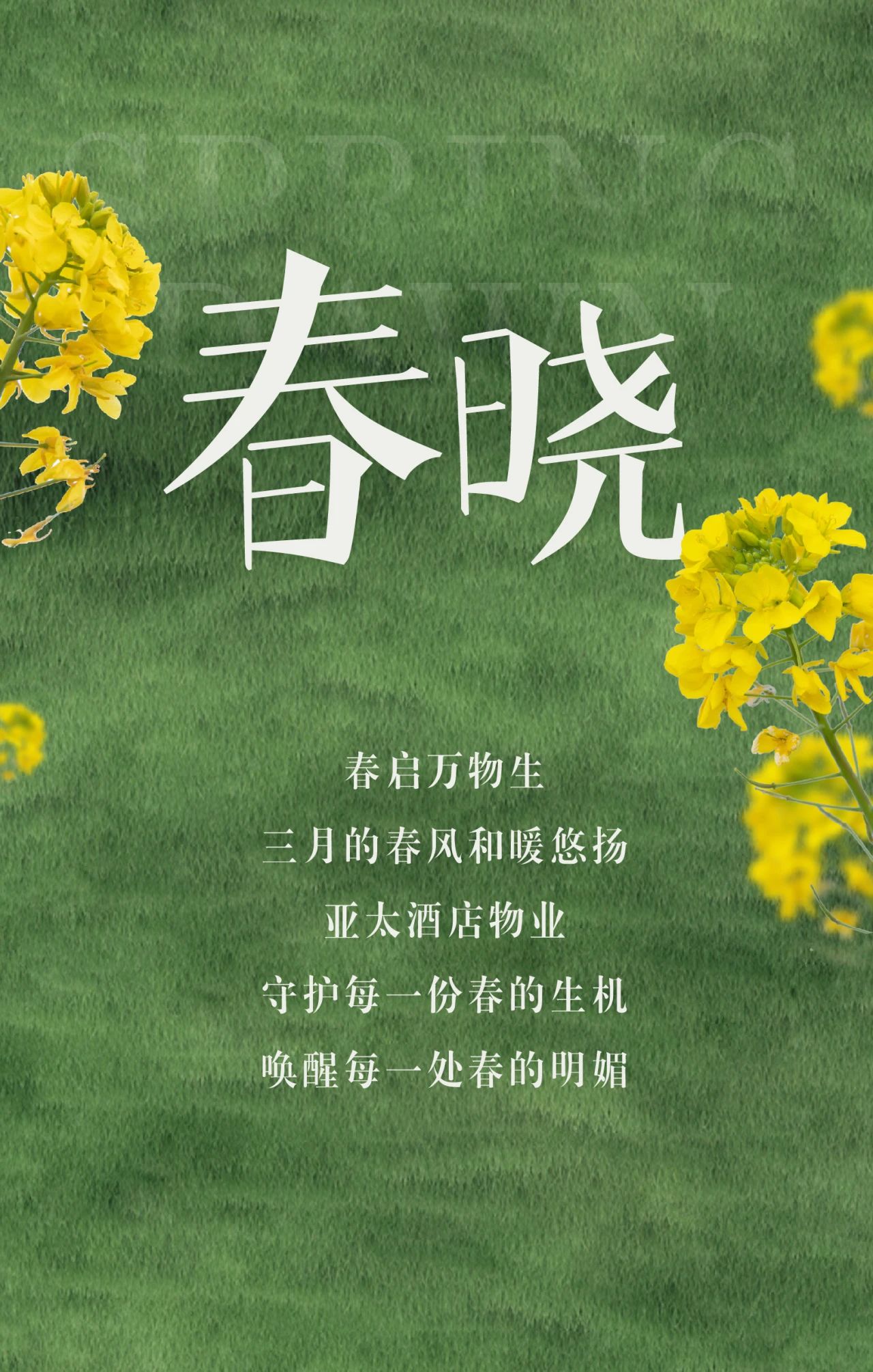 春啟萬物，綻放新生丨亞太酒店物業(yè)